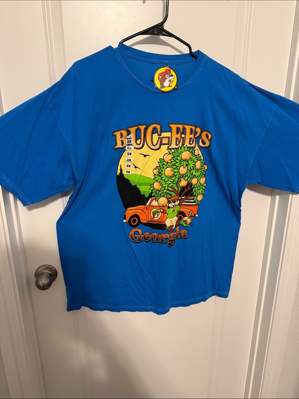 Buc-ee's Georgia Graphic Tee - Blue